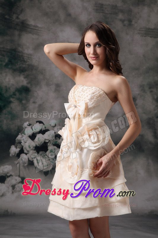 Champagne Mini Prom Holiday Dress with Handmade Flowers