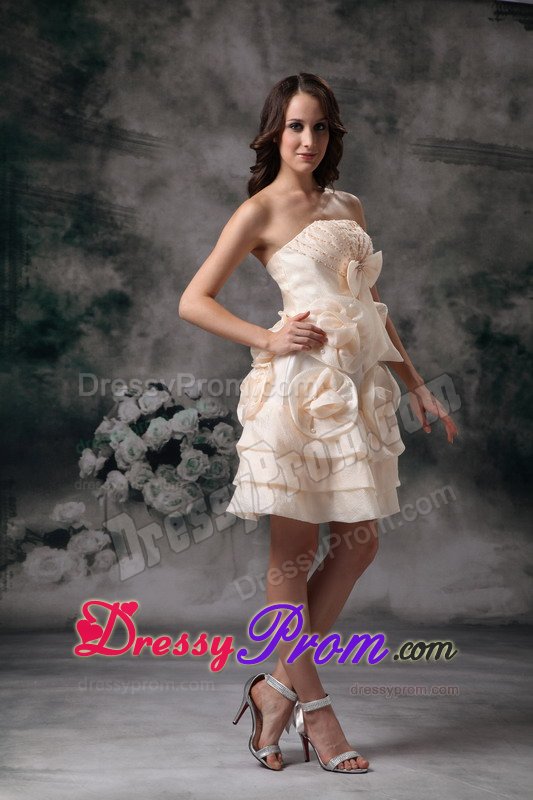Champagne Mini Prom Holiday Dress with Handmade Flowers
