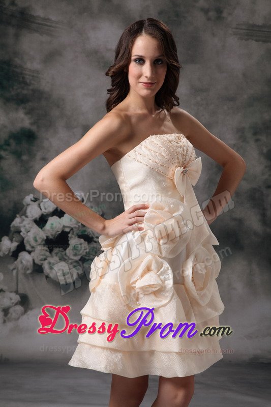 Champagne Mini Prom Holiday Dress with Handmade Flowers