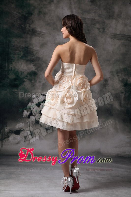 Champagne Mini Prom Holiday Dress with Handmade Flowers
