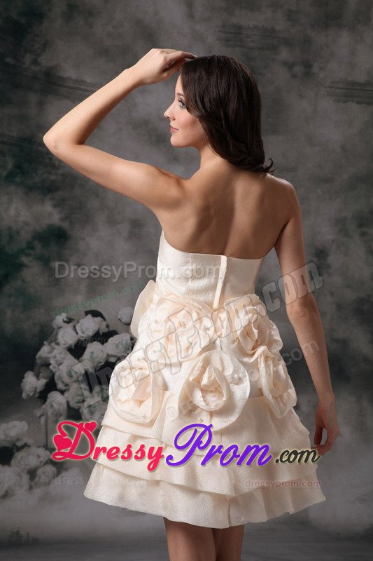 Champagne Mini Prom Holiday Dress with Handmade Flowers