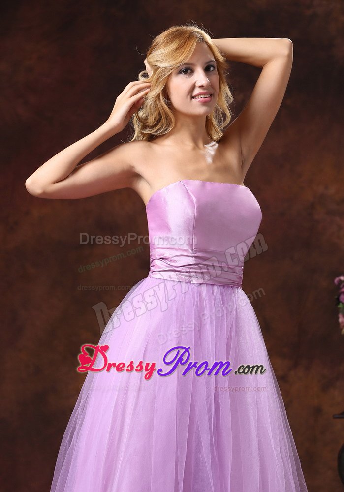 Recommended Campina Tulle Strapless Grande Prom Gowns in Lavender