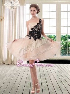 Luxurious One Shoulder Champagne Prom Dress with Appliques