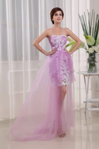 fashionable Lavender Strapless Prom Gown Dress with Appliques Brush Train