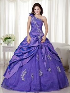 Special Purple One Shoulder Quinceanera Gown Dresses Ruched Bodice