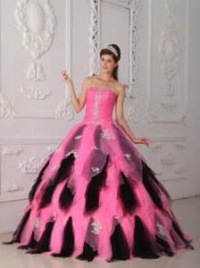 2013 Brand New Beaded and Ruched Dresses for a Quince Appliques