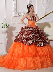 Sweetheart Leopard and Organza Appliques Dresses 15 with Sweep Train