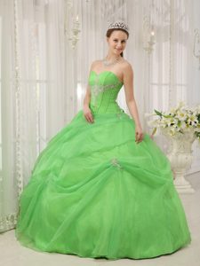 Sweetheart Spring Green Quinceanera Dresses Gowns with Appliques