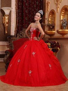 Appliques Sweetheart Floor-length Red Ball Gown Organza Sweet 16 Dresses