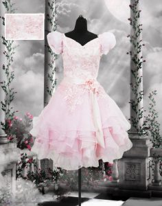 Clearance Baby Pink Organza Lace Up V-neck Short Sleeves Knee Length Homecoming Dress Beading and Appliques and Ruffles and Hand Made Flower