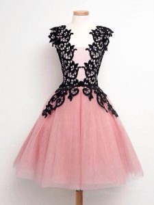 Wonderful Knee Length A-line Sleeveless Pink Dama Dress Lace Up