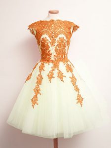 Pretty Scalloped Sleeveless Tulle Damas Dress Appliques Lace Up