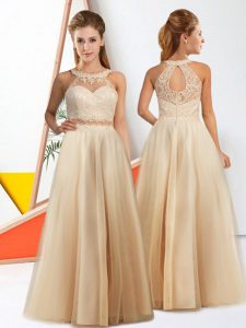 Elegant Champagne Sleeveless Chiffon Zipper Dama Dress for Prom and Party