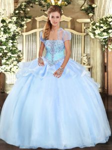 Great Organza Sleeveless Floor Length Sweet 16 Dress and Appliques