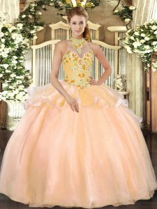 Peach Halter Top Lace Up Embroidery Sweet 16 Dresses Sleeveless