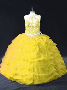 Elegant Floor Length Yellow Green 15 Quinceanera Dress Organza Sleeveless Appliques and Pick Ups
