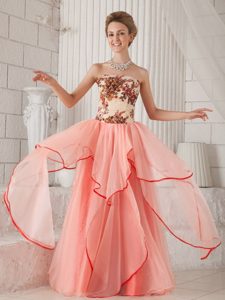 Watermelon Column and Strapless Organza Appliques Prom Dress