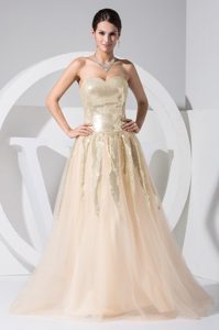 A-line Sweetheart Sequin Tulle Champagne Prom formal Dress