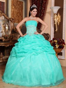 Appliques Turquoise Ball Gown Strapless Quinceanera Dress with Pick-ups