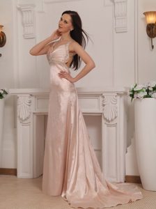 2013 Fast Delivery Pink Straps Brush Train Prom formal Dresses
