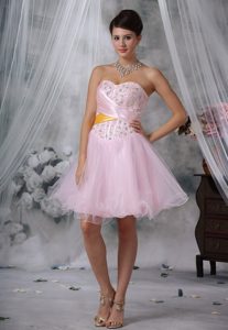 New Style Beaded and Ruched Organza Prom Maxi Dress in Baby Pink