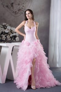Extravagant Flowers Halter Light Pink Prom Dress Court Train