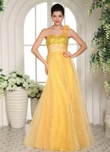 Flowery One Shoulder Sash Gold Dresses for Prom Princess Organza