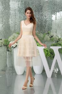 Champagne A-line V-neck Organza Prom Gown of Tea Length for Cheap