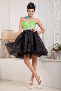 Spring Green and Black Organza Prom Dress with Appliques for Cheap