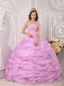 Lilac Strapless Appliques Sweet 16 Dresses with Pick-ups