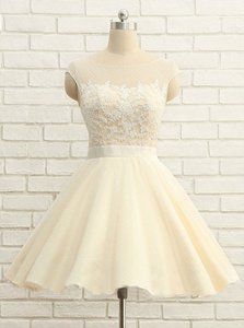 Wonderful Scoop Cap Sleeves Prom Party Dress Knee Length Lace Champagne Organza