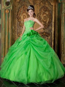 Spring Green Organza Beading Quinceanera Dresses with Hand Flowers