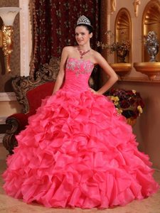 Appliques Beading Appliques Strapless Organza Quinceanera Gowns on Sale
