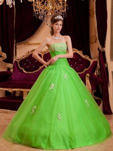 Strapless Appliques Floor-length Spring Green Tulle Quinceanera Dress