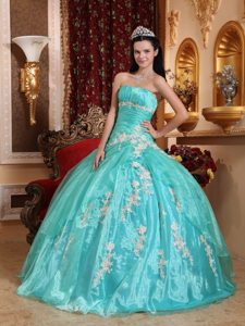 2014 Fast Shipping Turquoise Appliqued Quinceanera Party Dress