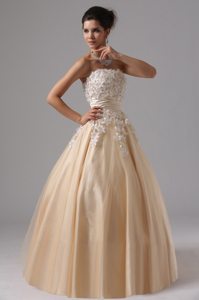 Champagne Strapless Appliques Ball Gown Prom Dress in Welland
