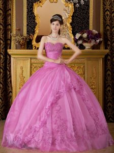 Appliqued Sweetheart Organza Quinceanera Gown in Rose Pink 2014