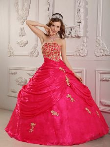 Durango CO Appliqued Organza Quinceanera Gown in Hot Pink 2014