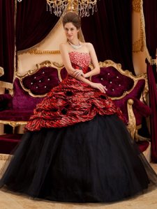 Woodland Hills CA Beaded Red and Black Quince Gown Zebra Print
