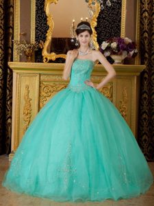 Whittier CA Turquoise Organza Quinces Dresses with Beading 2014