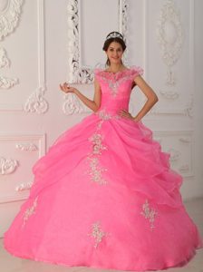 Pink Ball Gown Organza v Neck Quinceanera Dresses with Appliques