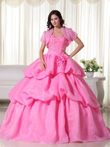 Appliqued and Flowery Organza Sweet 15 Dress in Rose Pink 2014