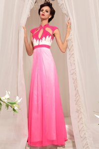 Simple Hot Pink Sleeveless Chiffon Zipper Prom Gown for Prom and Party