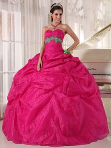 Tarzana CA Appliqued Sweet Sixteen Quinceanera Dress in Hot Pink