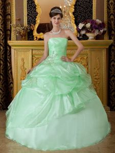 Sausalito CA Appliqued Organza Quinceanera Dresses in Apple Green