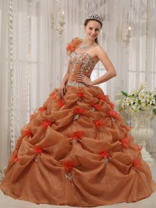 Brown One Shoulder Ball Gown Quinceanera Gown Dresses Appliques
