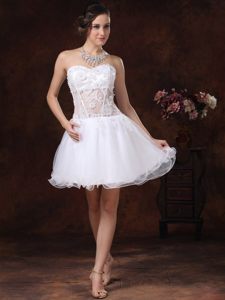 Angel Organza Strapless Prom Evening Dresses Lace Decorated Mini-length