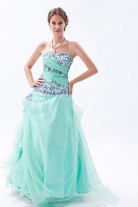 Appliqued and Ruched Organza Prom Bridesmaid Dress in Apple Green