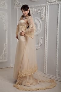 Champagne Column Prom Homecoming Dress with Appliques Brush Train