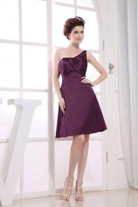 Brand New Single Shoulder Purple Sweet Sixteen Dresses Ruches